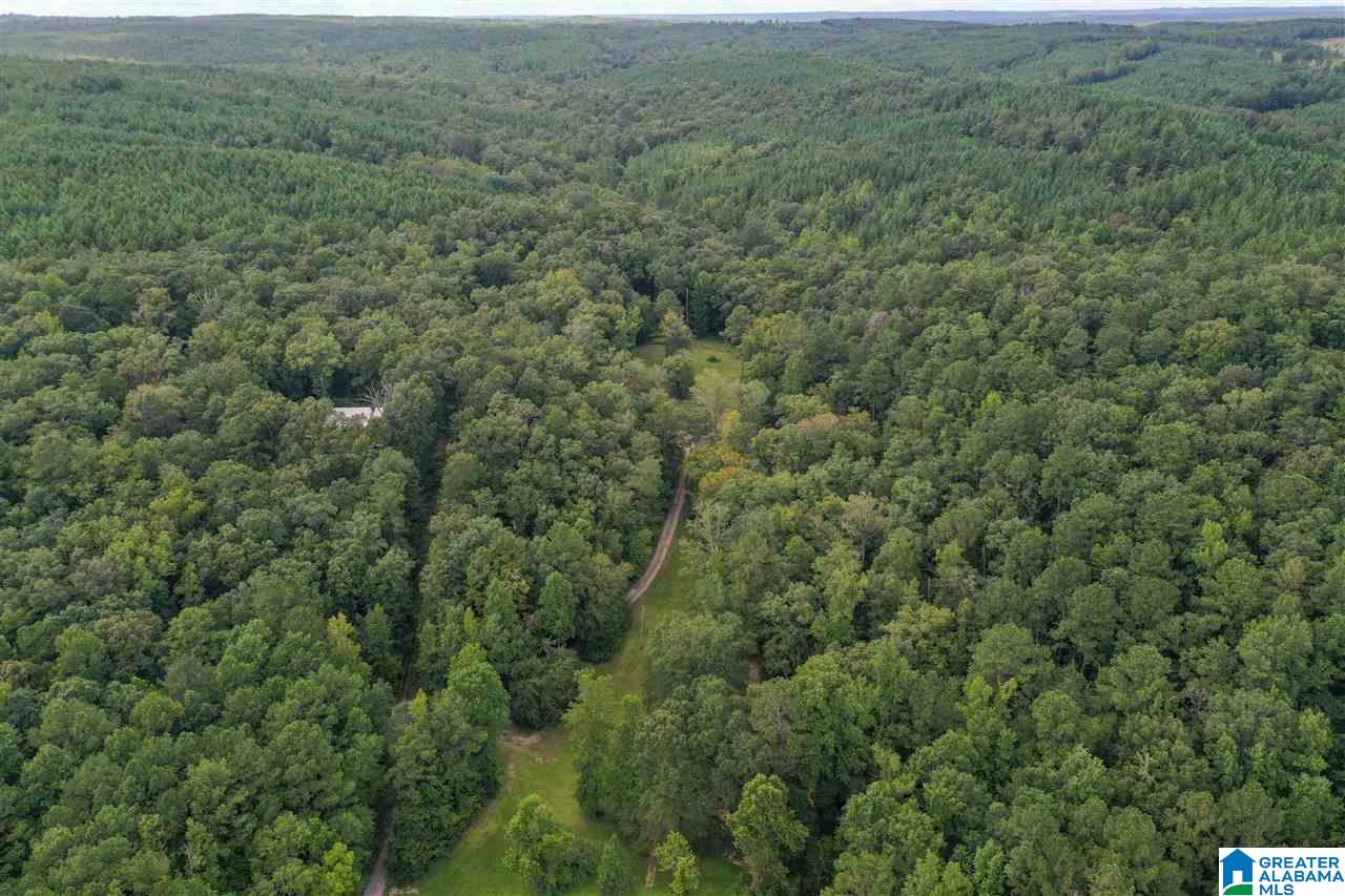 545 Scott Road Montevallo, AL 35115 - Photo 35 of 35