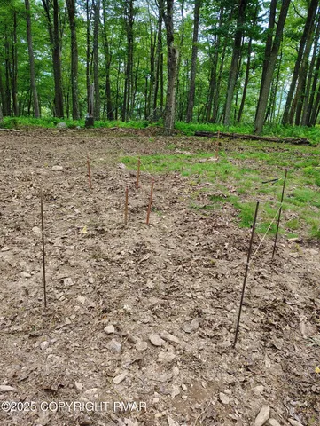 a view of outdoor space with deck and yard