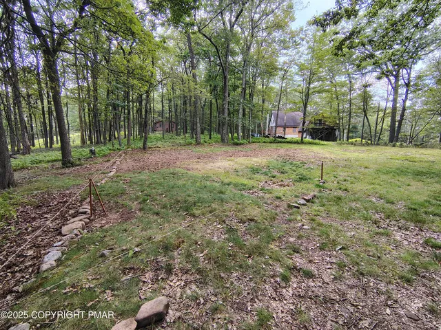 a view of a park with large trees
