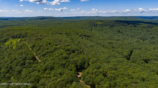 a view of a back yard of the green and green space
