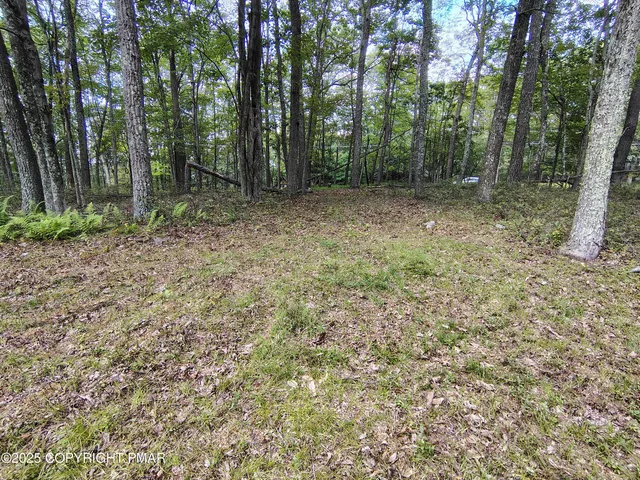 a view of outdoor space and green space