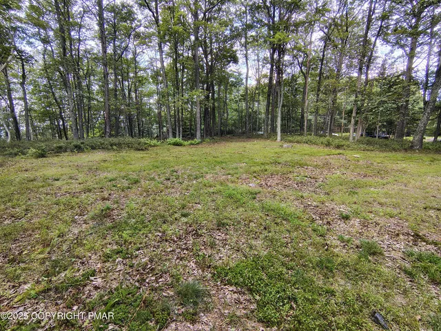 a view of a park with large trees