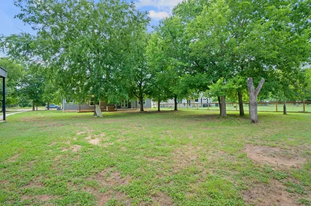 a view of green field with trees