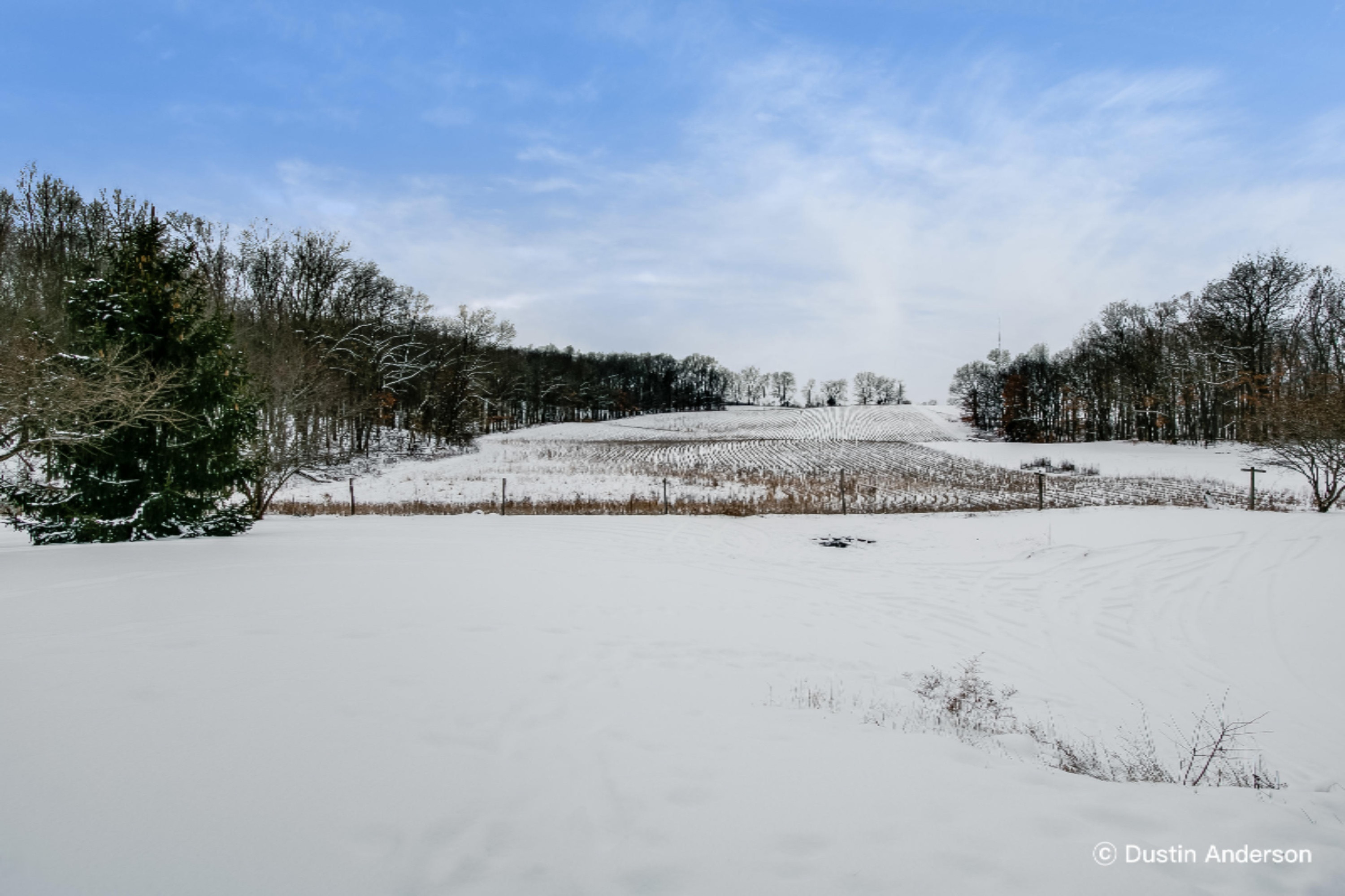 2079 Bender Road Middleville, MI 49333 - Photo 4 of 18 Backyard
