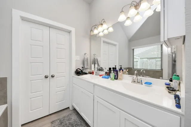 a bathroom with a sink vanity and a mirror