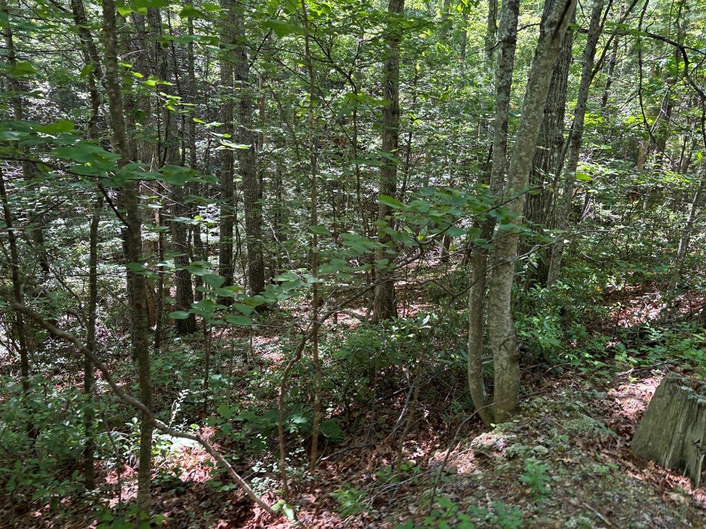 Tbd Pleasantview Road, Unit 72 Austinville, VA 24312 - Photo 36 of 63 Gallery Image 36