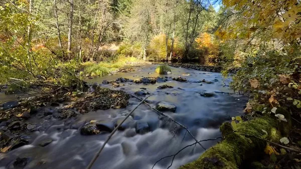 $596,000 | 52 Dodes Creek Road, Trail, OR 97541