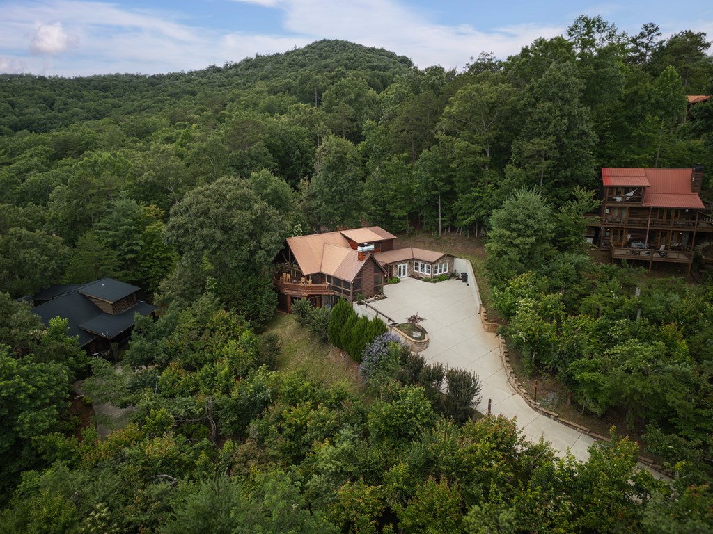 115 Necowa Cove Overlook Blue Ridge, GA 30513 - Photo 57 of 60