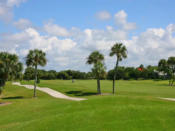 a view of a park