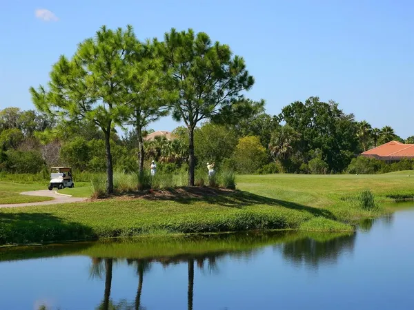 a view of a lake with a yard and large trees