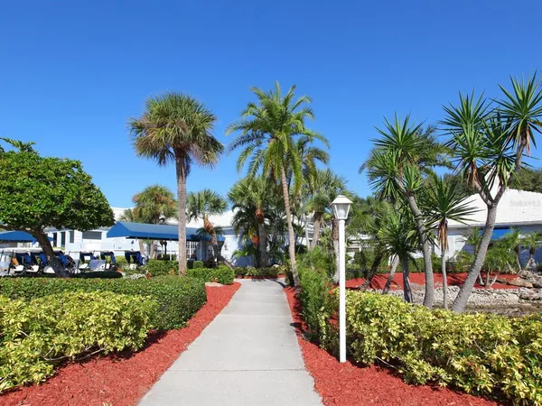 a view of a park with a palm trees