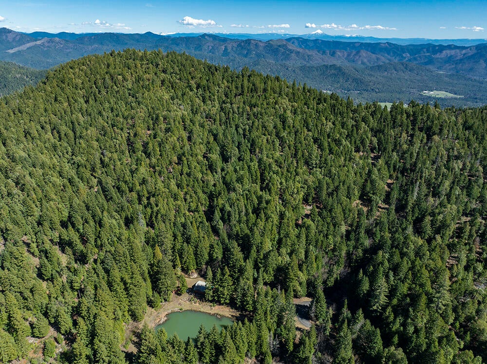0 Jumpoff Joe Creek Road, Unit 200 Rogue River, OR 97537 - Photo 42 of 48 42