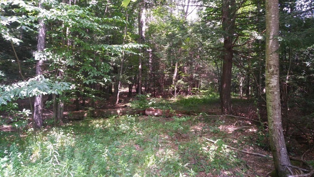 Lot 0 Mason Road Townsend, MA 01474 - Photo 6 of 8 Gallery Image 6