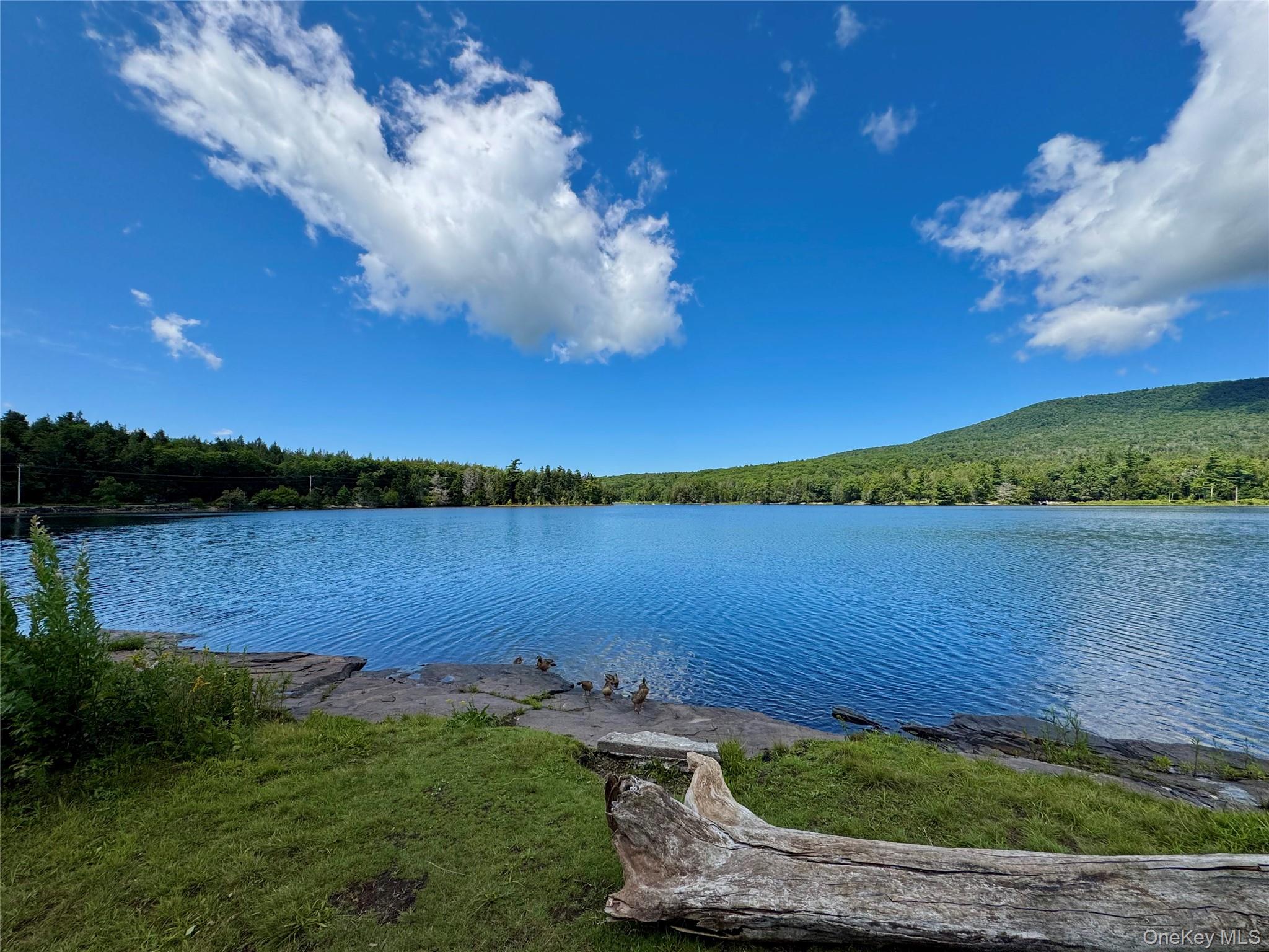 398 Lake Road Hunter, NY 12442 - Photo 31 of 33 Gallery Image 31