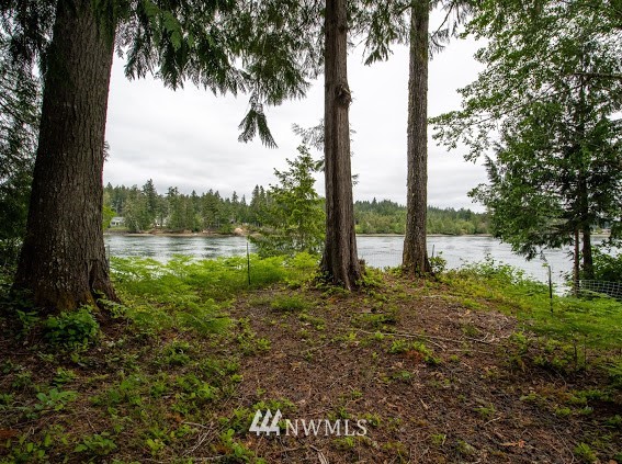 351 Southeast Channel Point Road Shelton, WA 98584 - Photo 36 of 39 Gallery Image 36