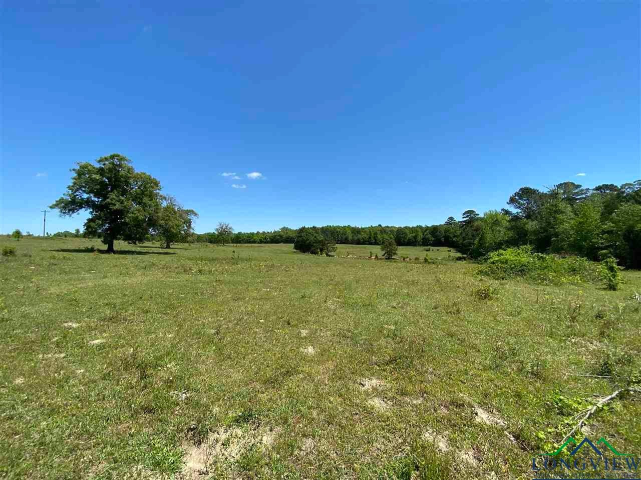 Tbd Orchid Road Ore City, TX 75683 - Photo 28 of 36 Gallery Image 28