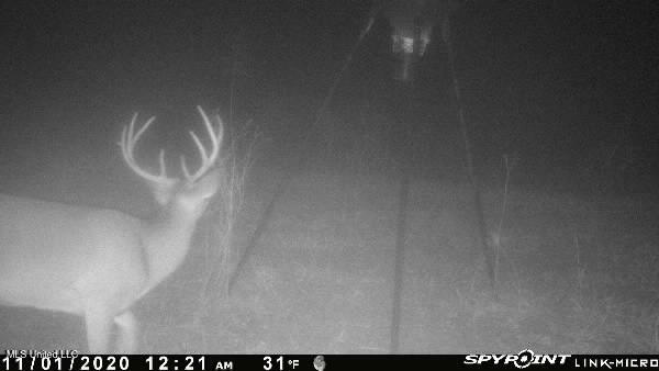 1 Farr Road Edwards, MS 39066 - Photo 103 of 135 IMG_8913