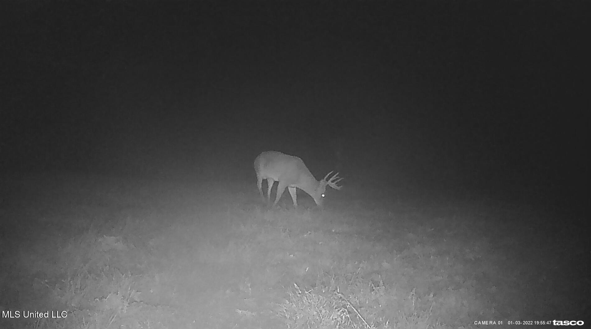 1 Farr Road Edwards, MS 39066 - Photo 104 of 135 IMG_8915