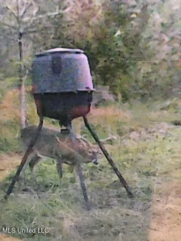 $499,450 | 1 Farr Road, Edwards, MS 39066