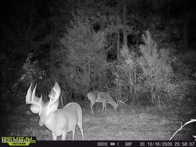 1 Farr Road Edwards, MS 39066 - Photo 108 of 135 IMG_8924