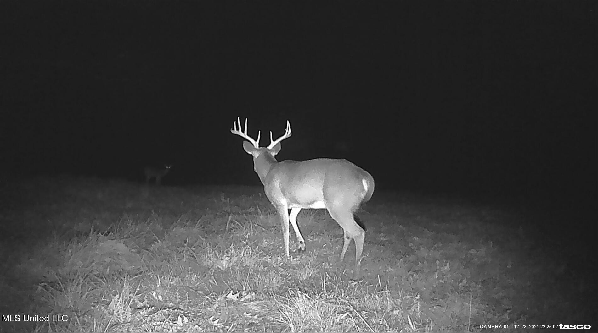 1 Farr Road Edwards, MS 39066 - Photo 109 of 135 IMG_8925