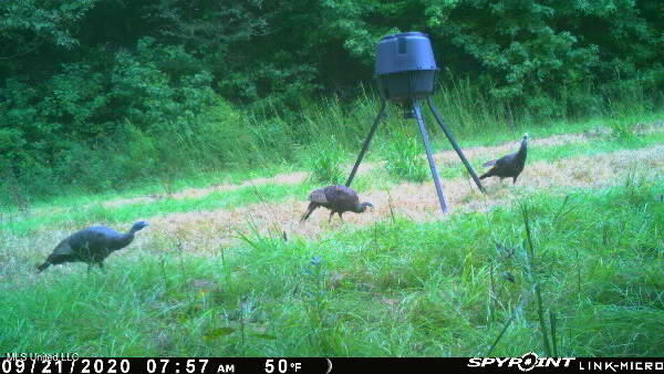 1 Farr Road Edwards, MS 39066 - Photo 110 of 135 IMG_8933