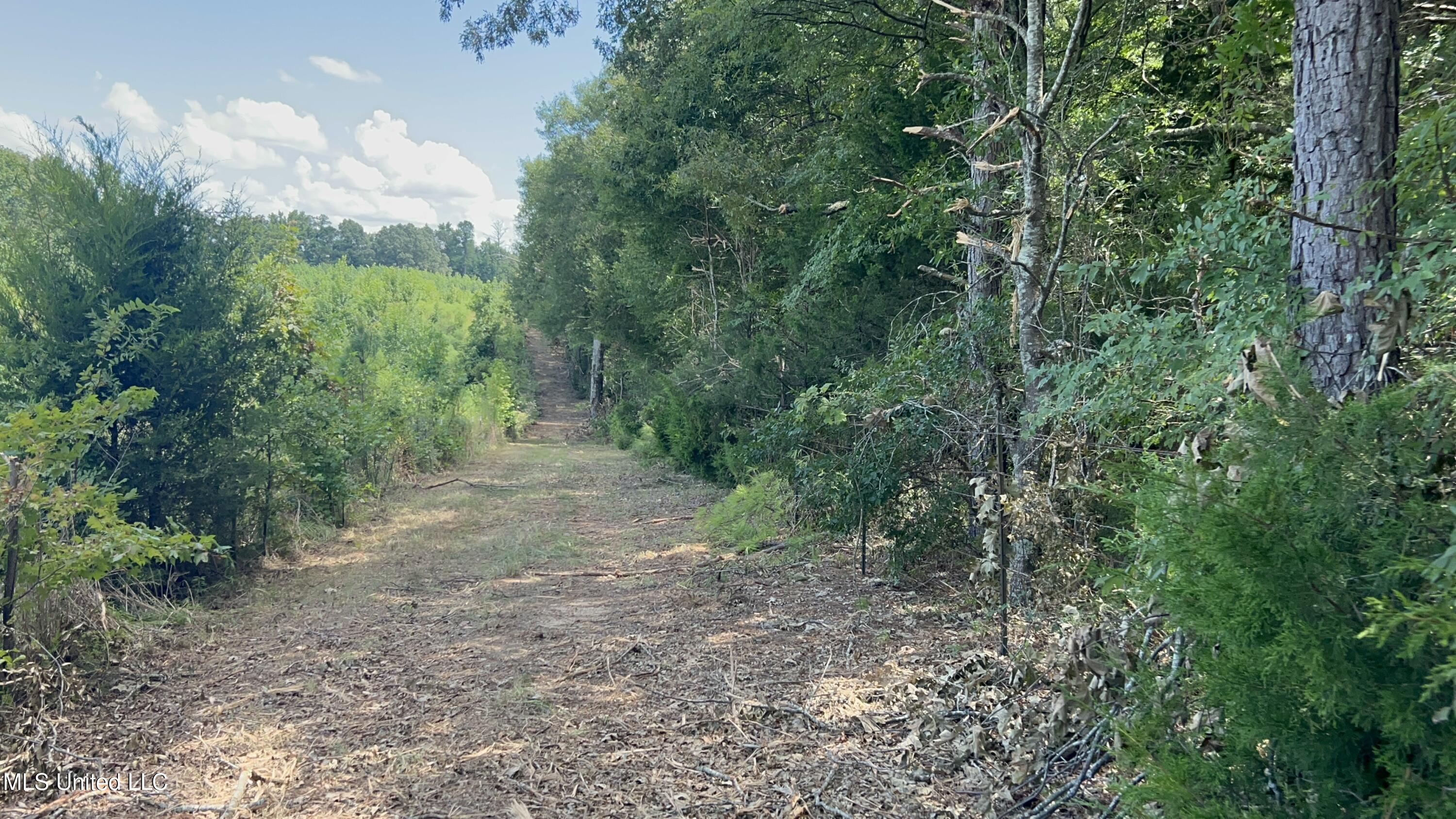 1 Farr Road Edwards, MS 39066 - Photo 11 of 135 IMG_2840