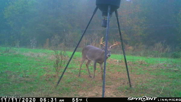 1 Farr Road Edwards, MS 39066 - Photo 111 of 135 IMG_8934