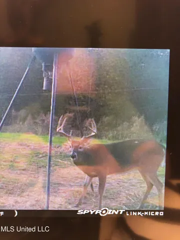 $499,450 | 1 Farr Road, Edwards, MS 39066