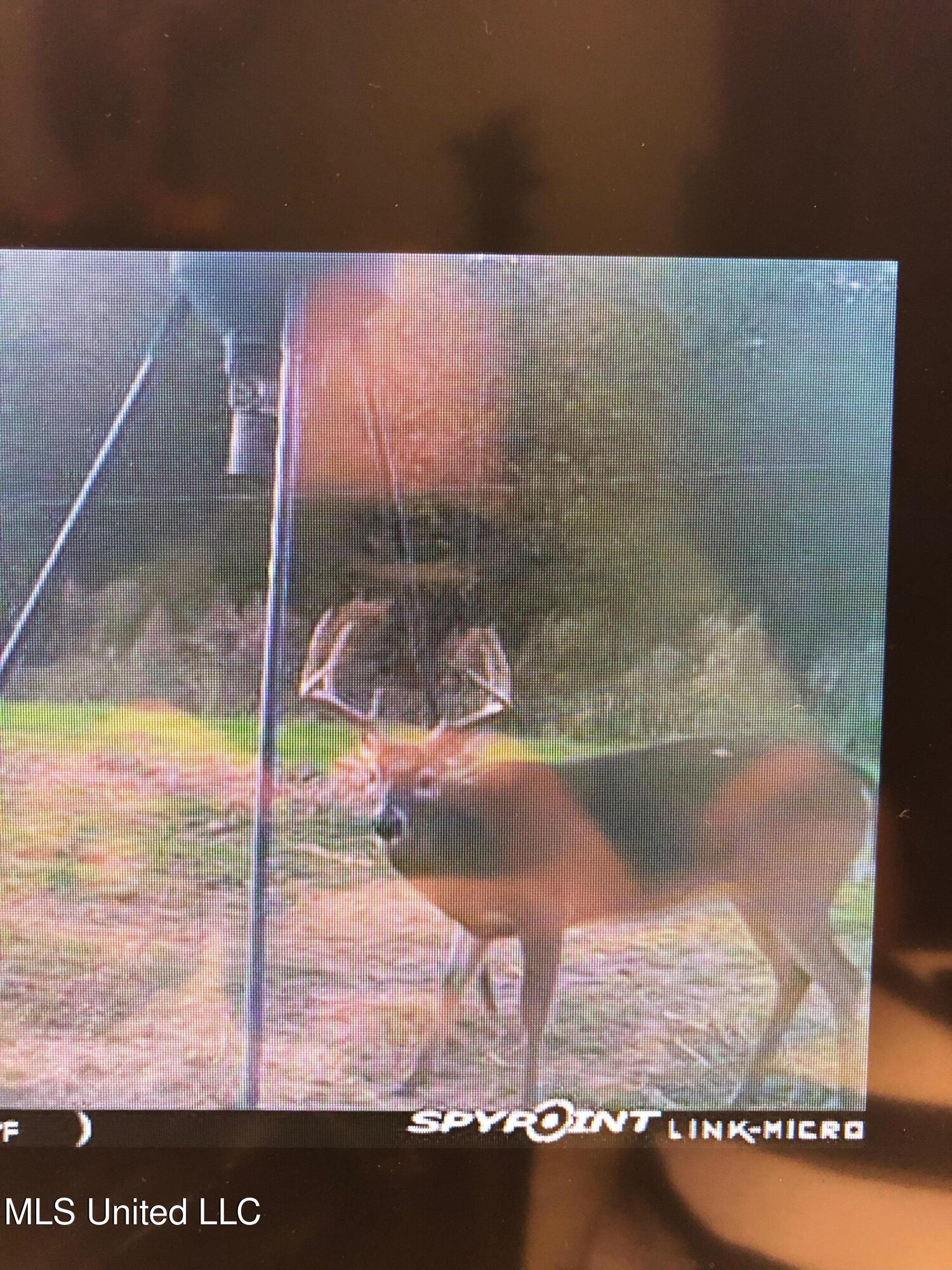 1 Farr Road Edwards, MS 39066 - Photo 113 of 135 IMG_8939