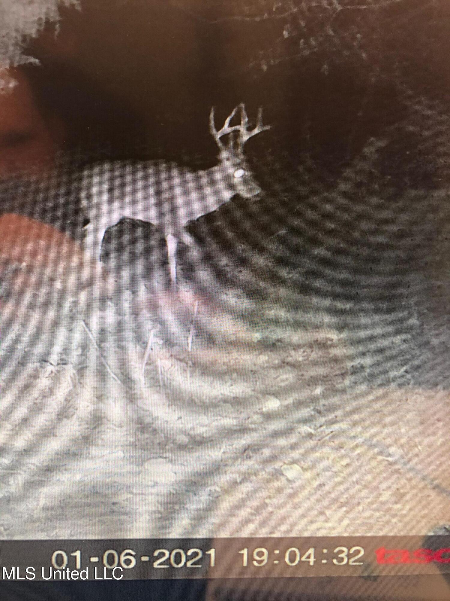 1 Farr Road Edwards, MS 39066 - Photo 114 of 135 IMG_8943