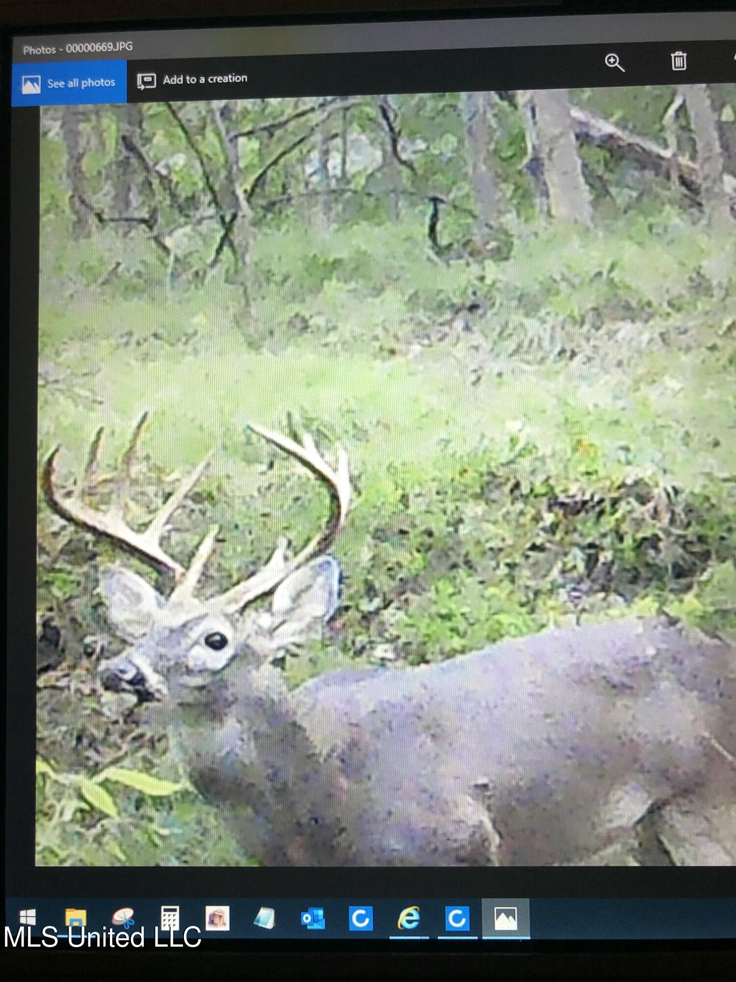 1 Farr Road Edwards, MS 39066 - Photo 115 of 135 IMG_8945