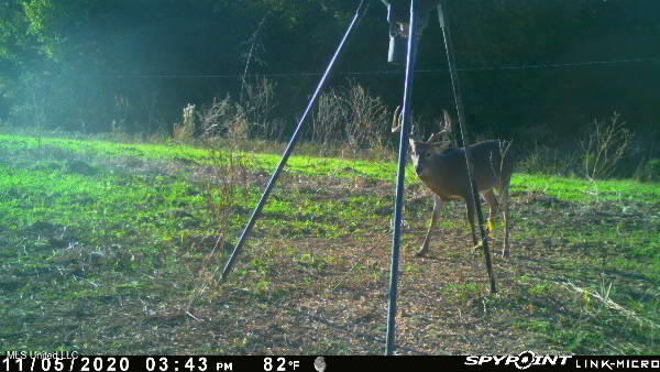 1 Farr Road Edwards, MS 39066 - Photo 117 of 135 IMG_8949