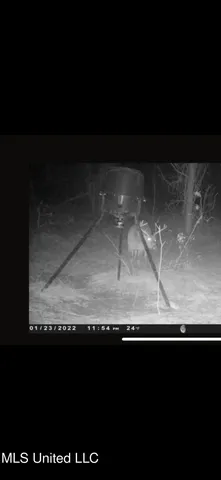 $499,450 | 1 Farr Road, Edwards, MS 39066