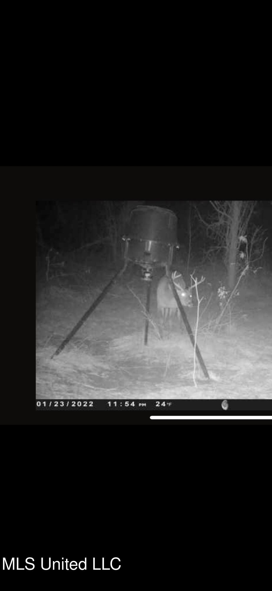 1 Farr Road Edwards, MS 39066 - Photo 118 of 135 IMG_8950