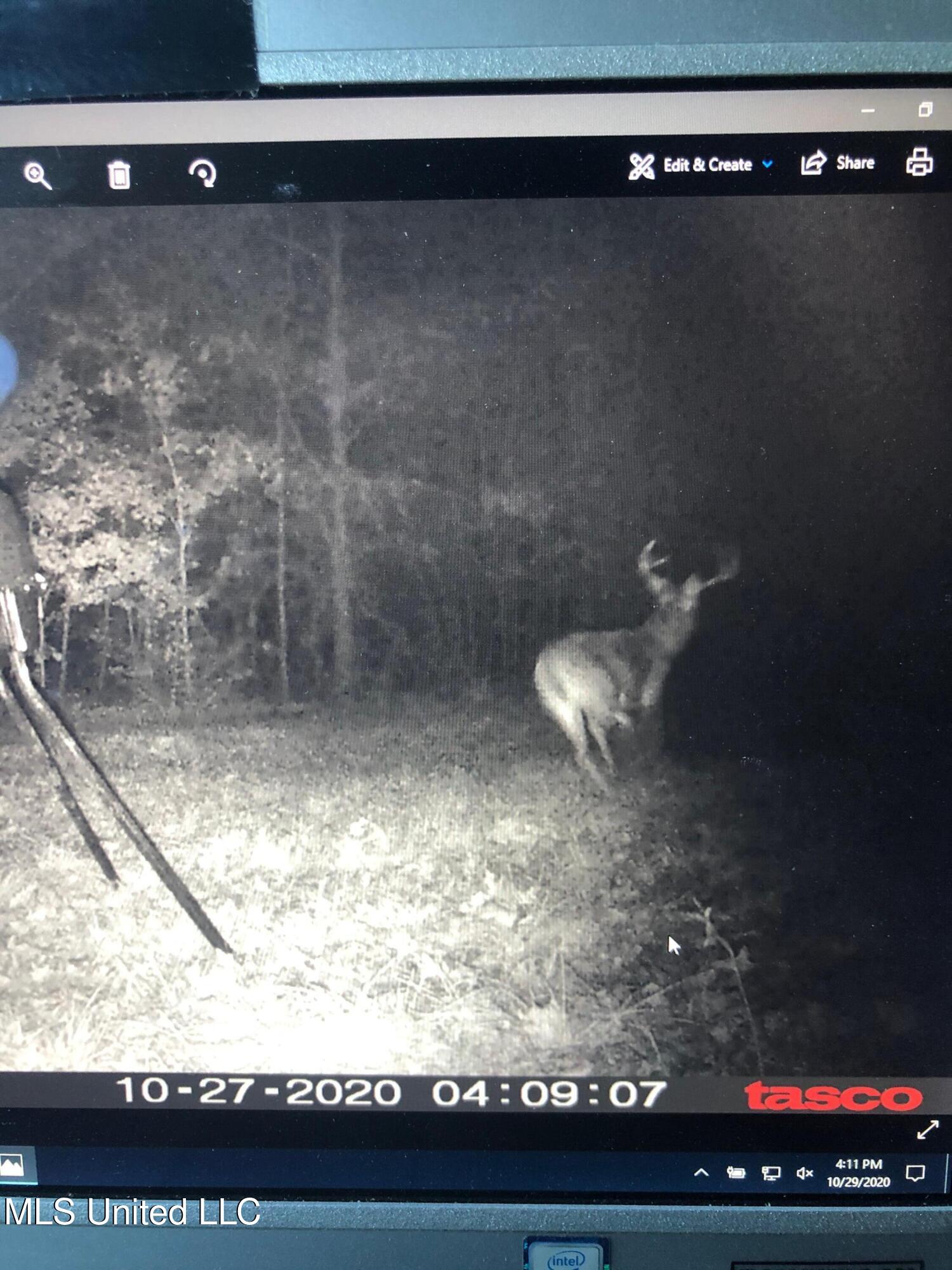 1 Farr Road Edwards, MS 39066 - Photo 120 of 135 IMG_8953