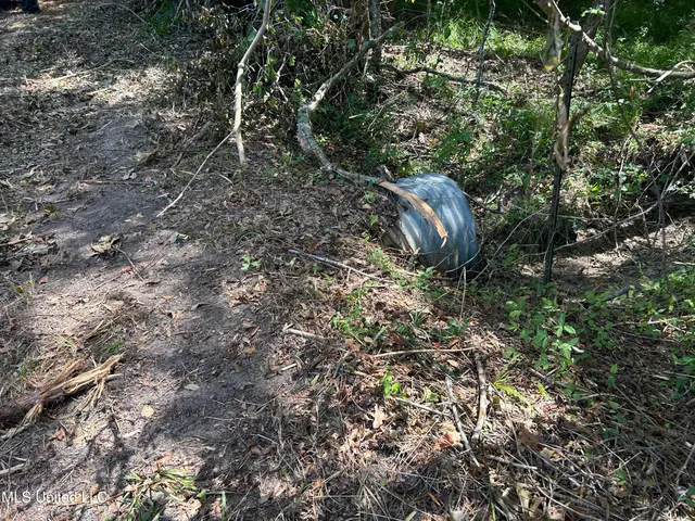 $499,450 | 1 Farr Road, Edwards, MS 39066