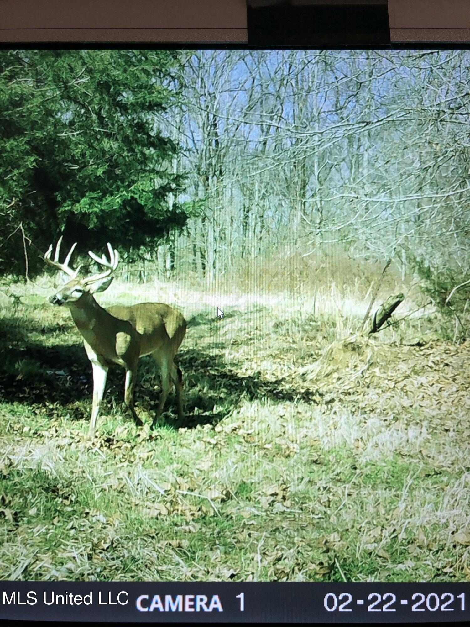 1 Farr Road Edwards, MS 39066 - Photo 121 of 135 IMG_8954