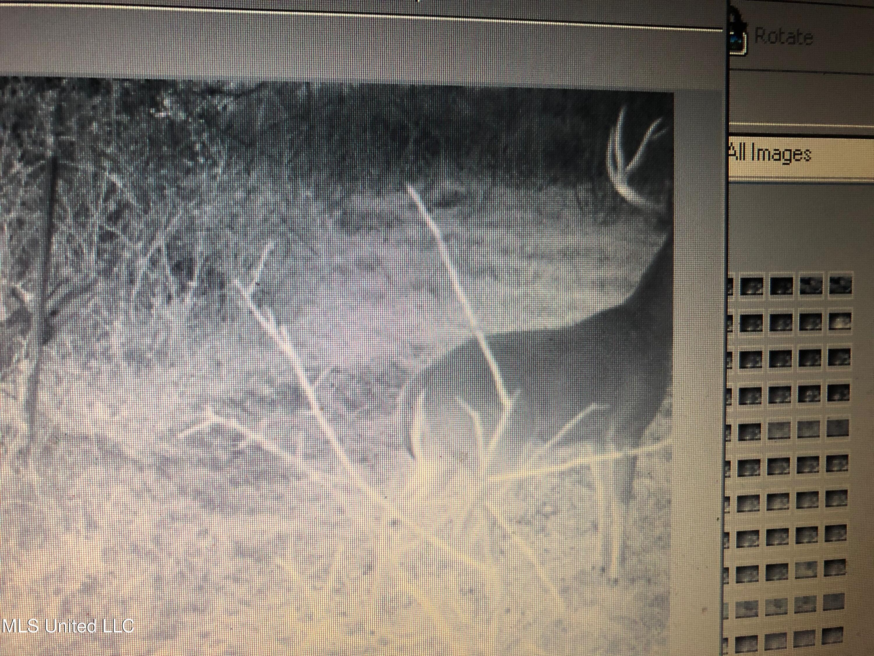 1 Farr Road Edwards, MS 39066 - Photo 122 of 135 IMG_8955