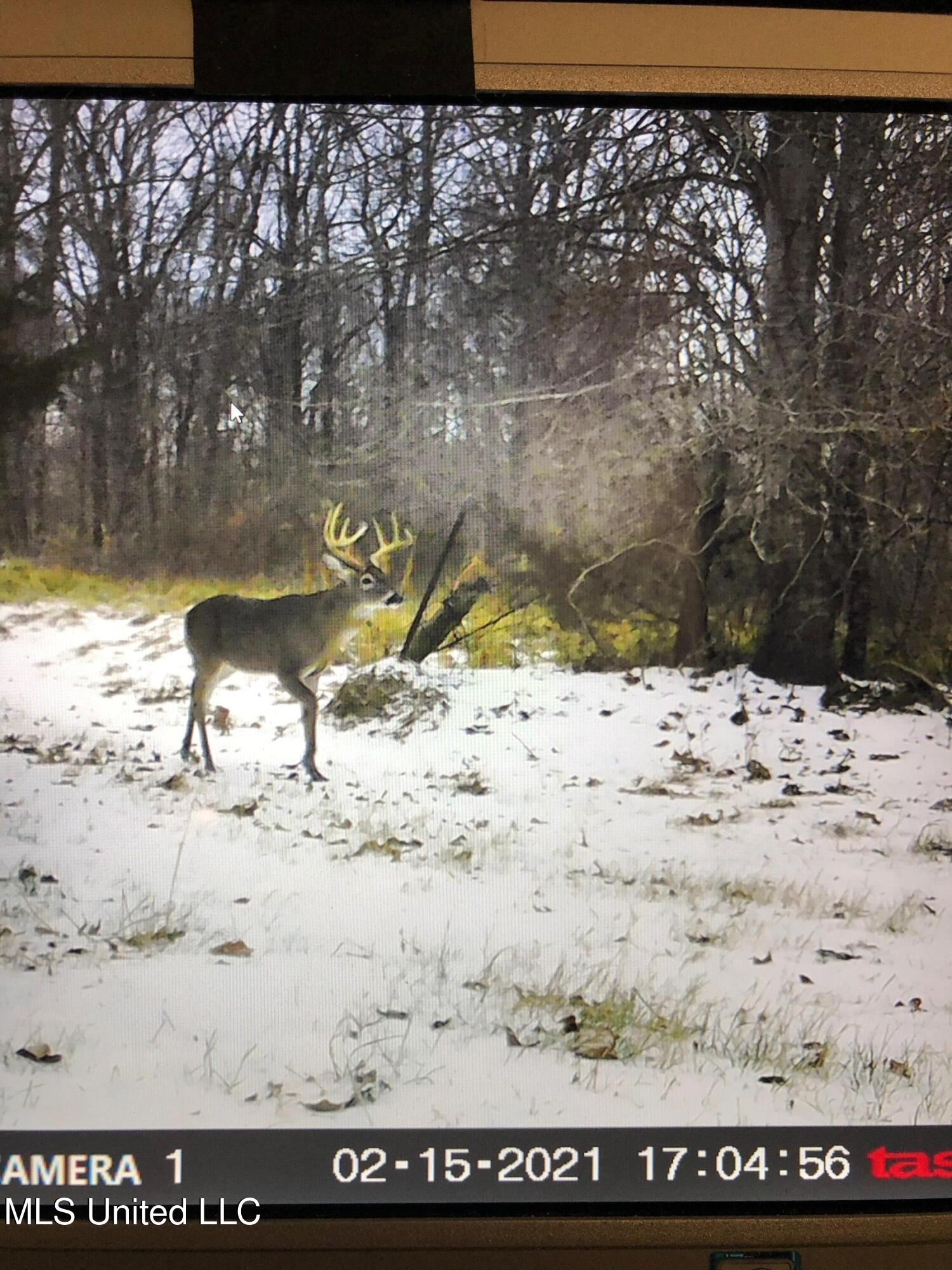 1 Farr Road Edwards, MS 39066 - Photo 124 of 135 IMG_8957