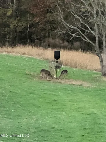 $499,450 | 1 Farr Road, Edwards, MS 39066