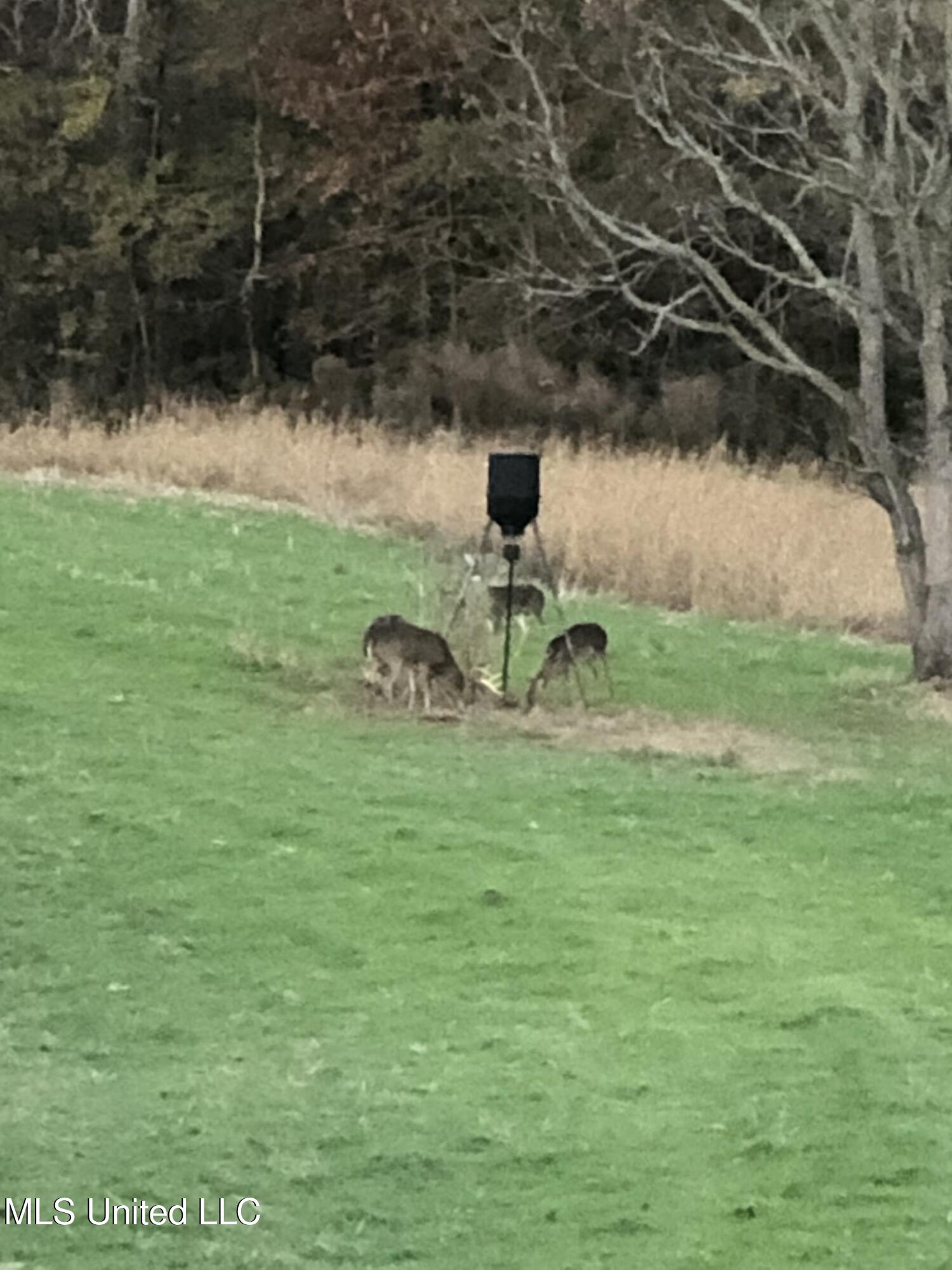 1 Farr Road Edwards, MS 39066 - Photo 125 of 135 IMG_8958