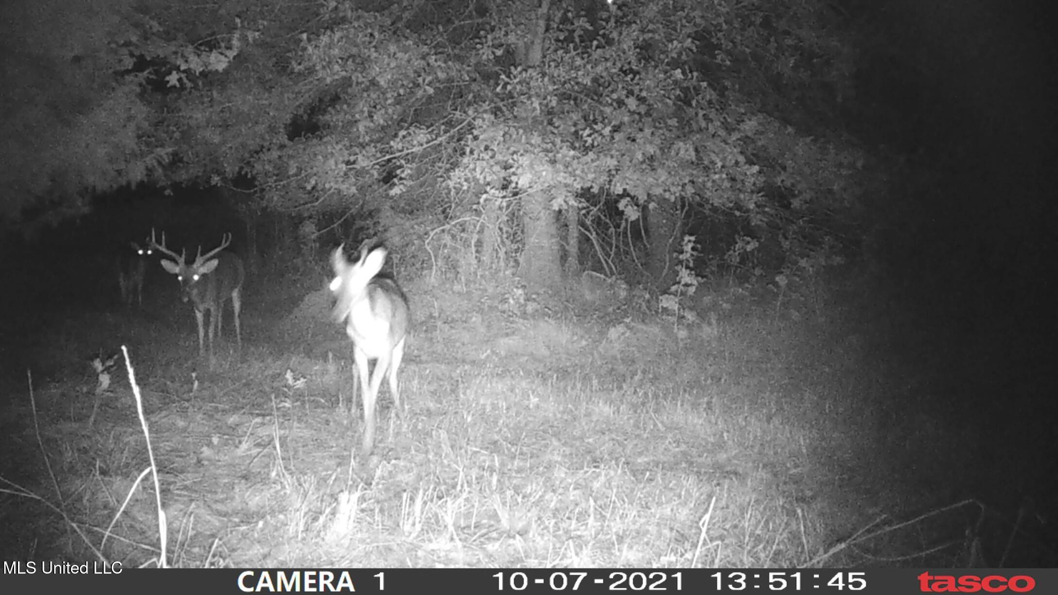 1 Farr Road Edwards, MS 39066 - Photo 127 of 135 IMG_8964