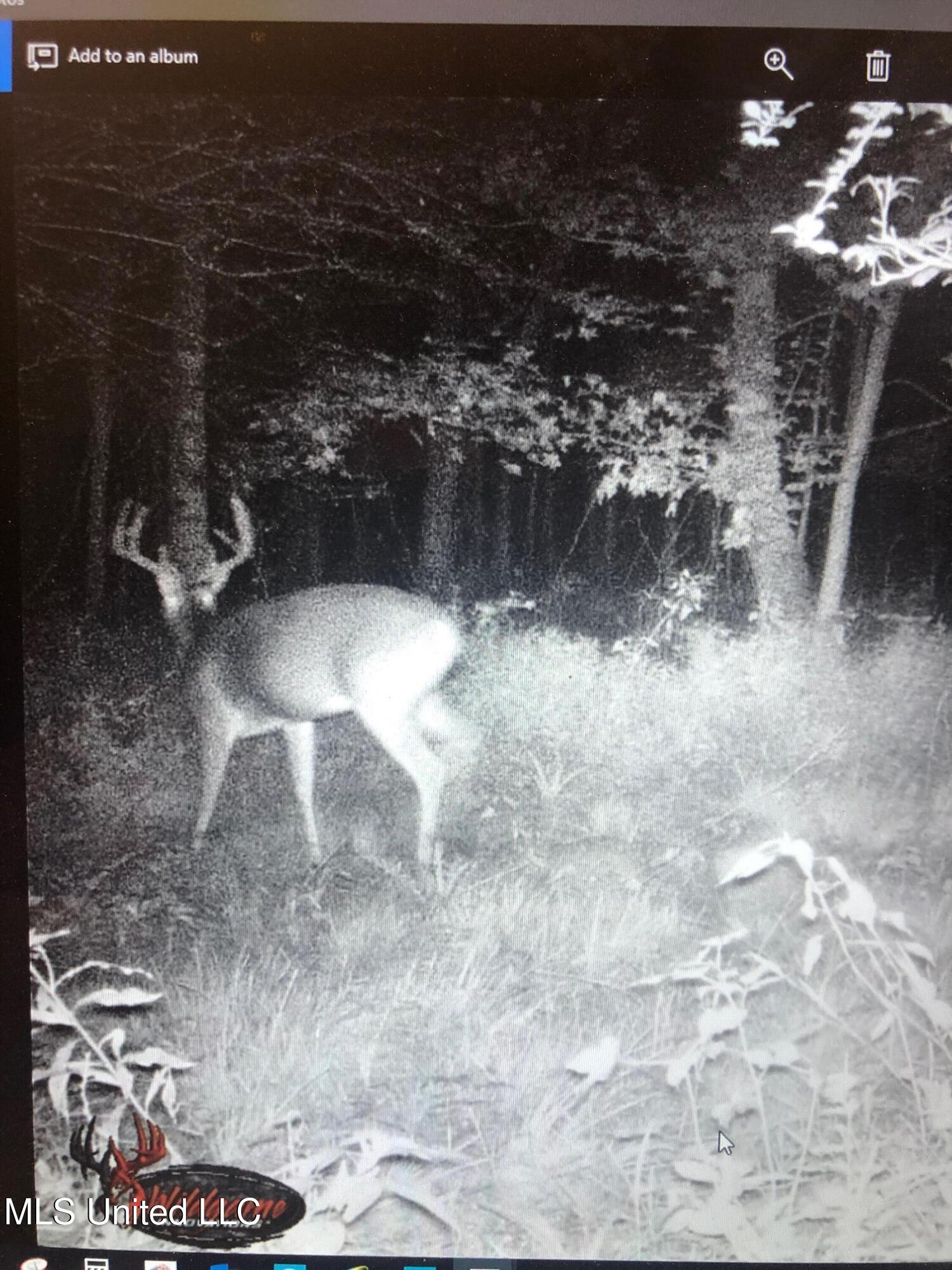 1 Farr Road Edwards, MS 39066 - Photo 128 of 135 IMG_8968