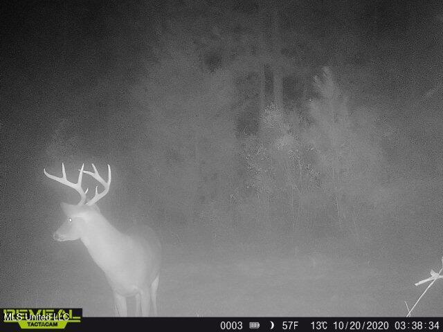 1 Farr Road Edwards, MS 39066 - Photo 130 of 135 IMG_8970 2