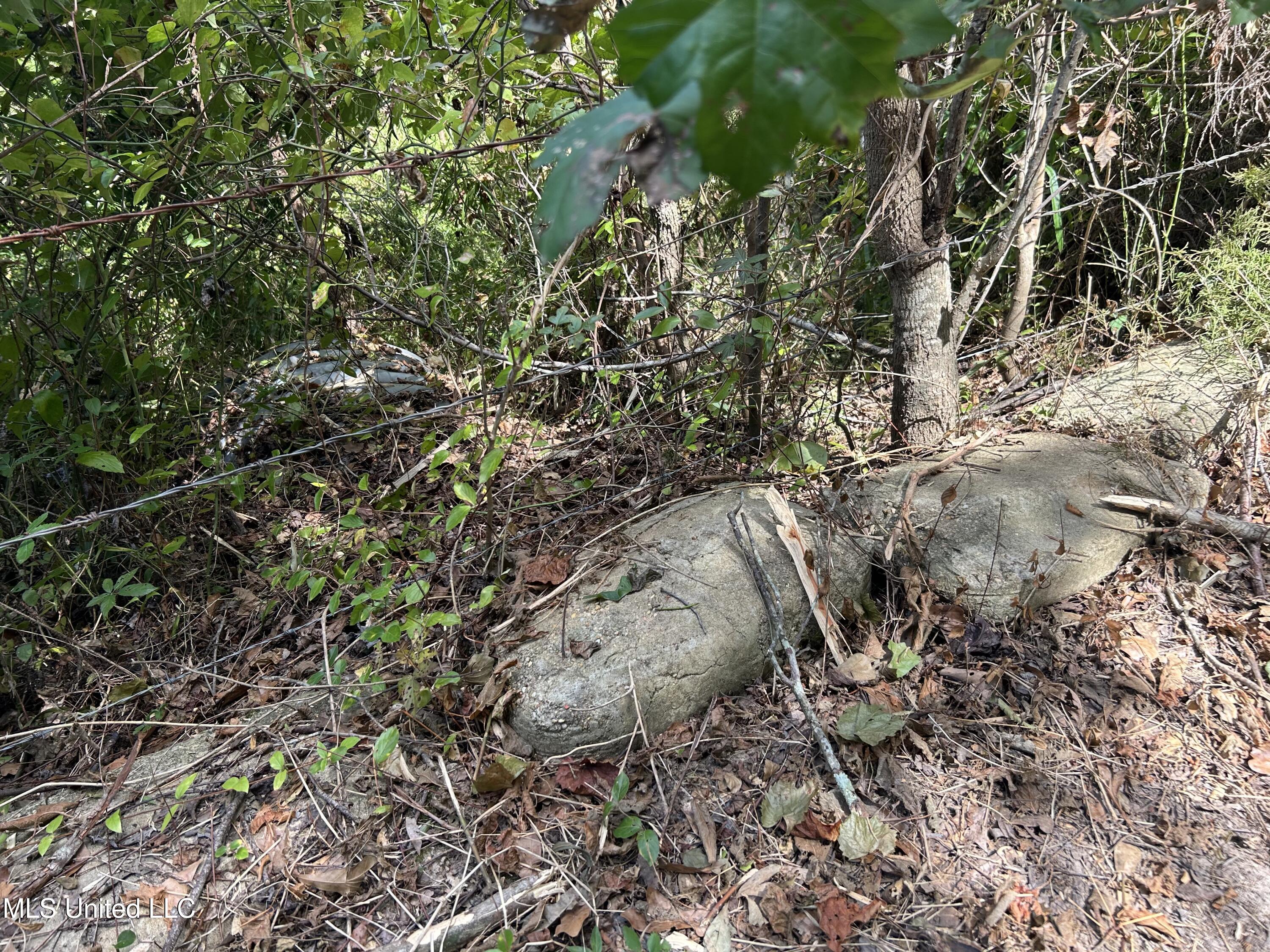 1 Farr Road Edwards, MS 39066 - Photo 13 of 135 IMG_2844