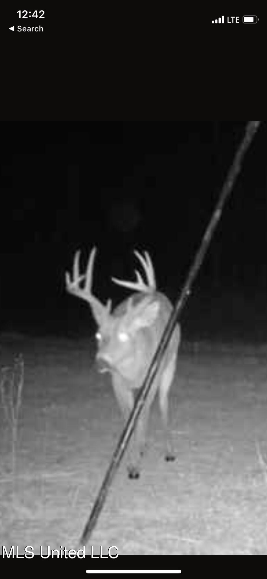 1 Farr Road Edwards, MS 39066 - Photo 132 of 135 IMG_8972