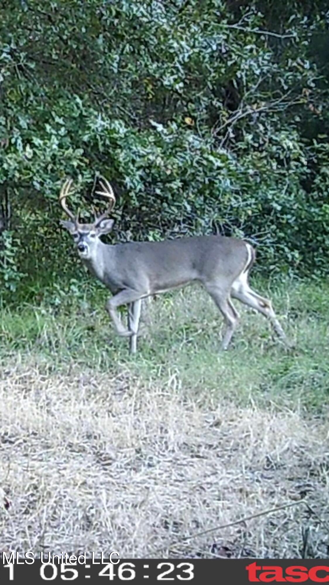 1 Farr Road Edwards, MS 39066 - Photo 133 of 135 IMG_8973 2