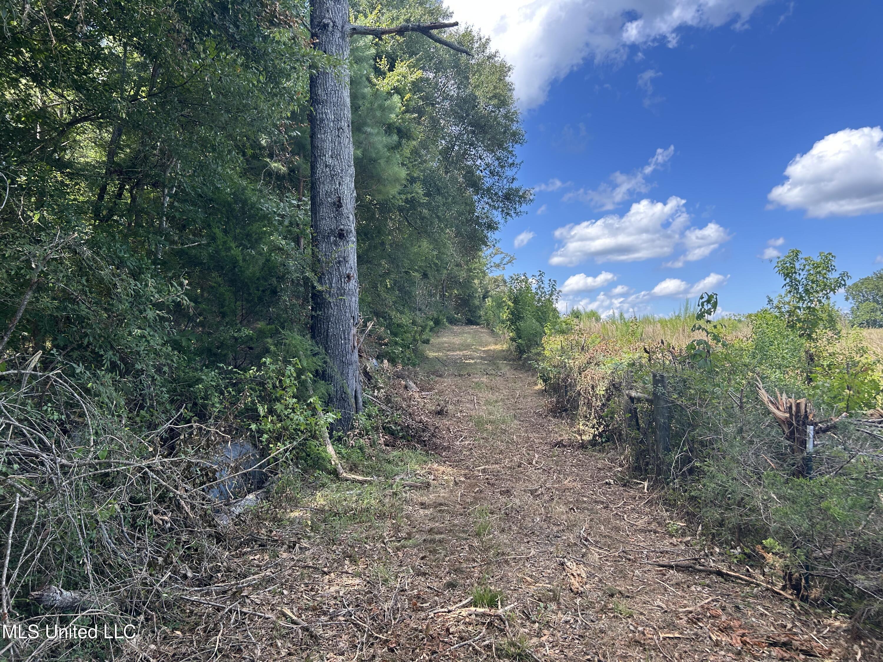 1 Farr Road Edwards, MS 39066 - Photo 14 of 135 IMG_2845