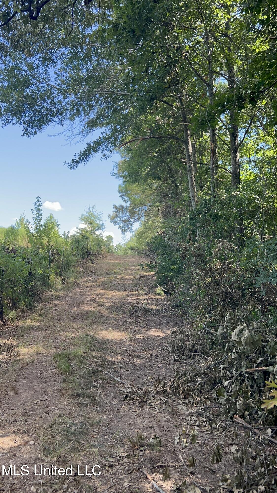 1 Farr Road Edwards, MS 39066 - Photo 15 of 135 IMG_2846